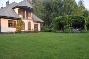 Ogród: tył domu